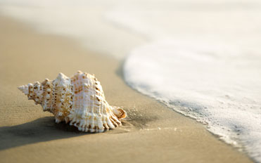 bed and breakfast sicilia mare